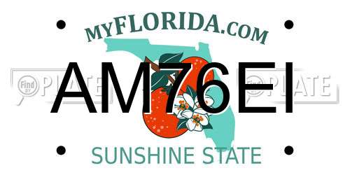 AM76EI Florida License Plate