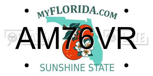 AM76VR Florida License Plate