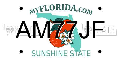 AM77JF Florida License Plate
