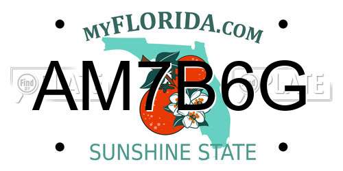 AM7B6G Florida License Plate