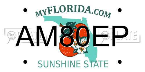AM80EP Florida License Plate