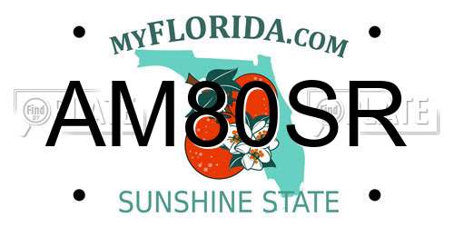 AM80SR Florida License Plate