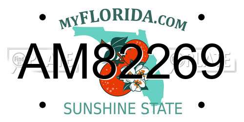 AM82269 Florida License Plate