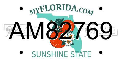 AM82769 Florida License Plate