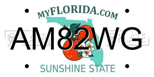 AM82WG Florida License Plate