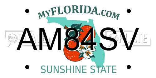 AM84SV Florida License Plate