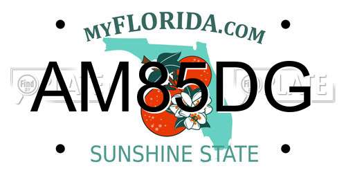 AM85DG Florida License Plate