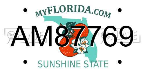 AM87769 Florida License Plate
