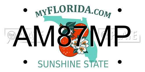 AM87MP Florida License Plate