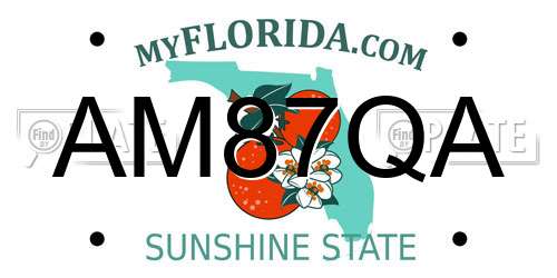 AM87QA Florida License Plate