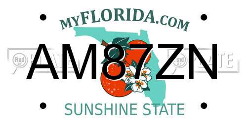 AM87ZN Florida License Plate