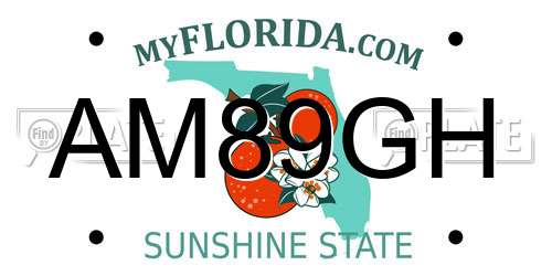 AM89GH Florida License Plate