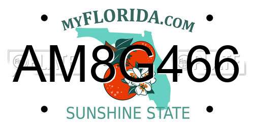 AM8G466 Florida License Plate