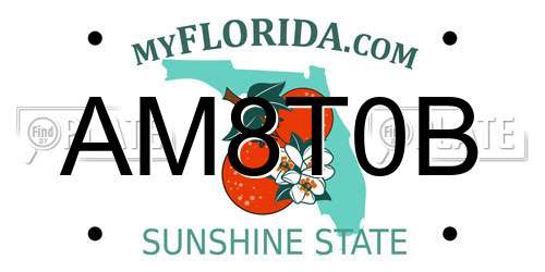 AM8T0B Florida License Plate