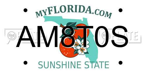 AM8T0S Florida License Plate