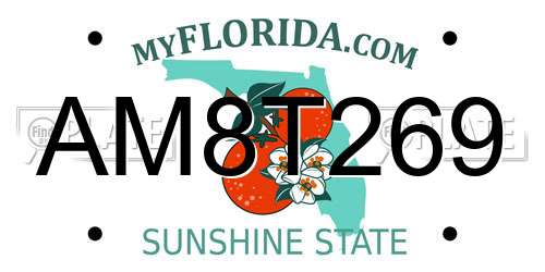 AM8T269 Florida License Plate