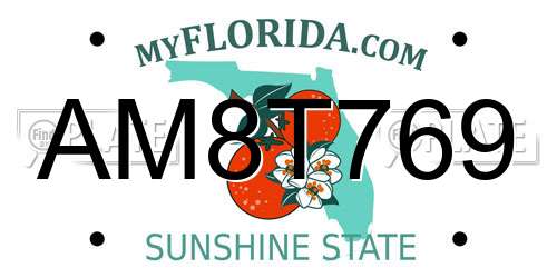 AM8T769 Florida License Plate