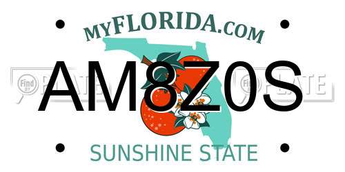AM8Z0S Florida License Plate