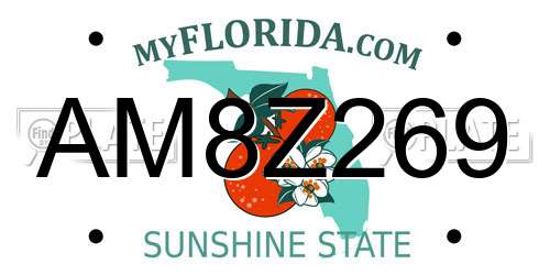 AM8Z269 Florida License Plate