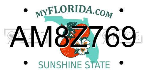 AM8Z769 Florida License Plate