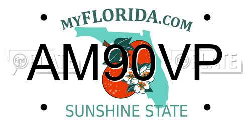 AM90VP Florida License Plate