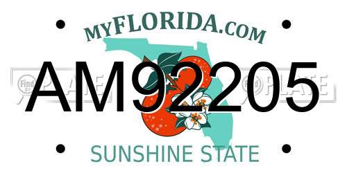 AM92205 Florida License Plate