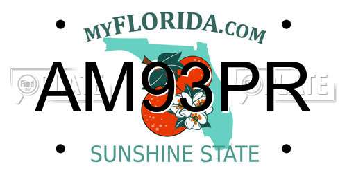 AM93PR Florida License Plate