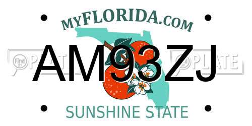 AM93ZJ Florida License Plate