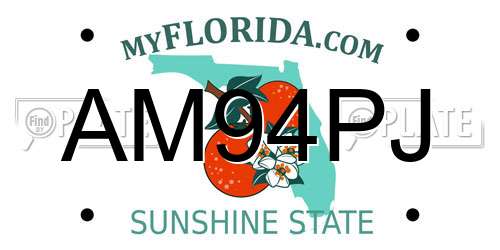 AM94PJ Florida License Plate