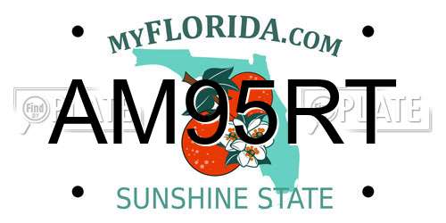 AM95RT Florida License Plate