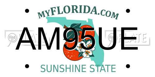 AM95UE Florida License Plate
