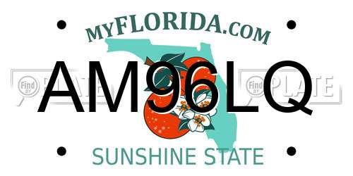 AM96LQ Florida License Plate