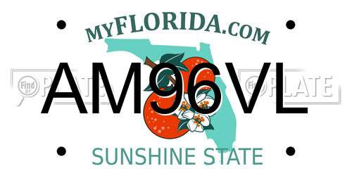 AM96VL Florida License Plate