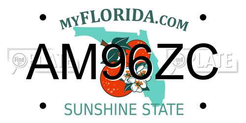 AM96ZC Florida License Plate