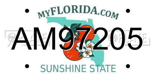 AM97205 Florida License Plate