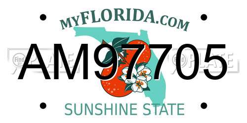 AM97705 Florida License Plate