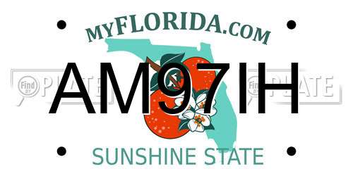 AM97IH Florida License Plate