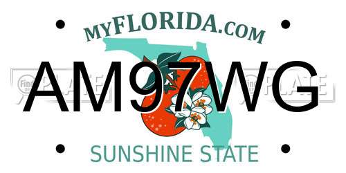 AM97WG Florida License Plate