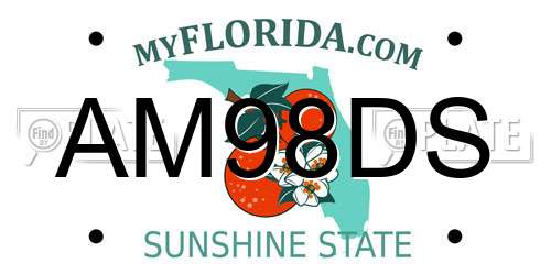 AM98DS Florida License Plate