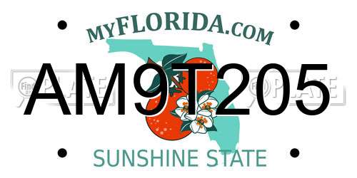 AM9T205 Florida License Plate