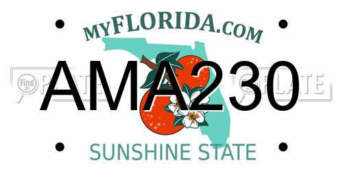 AMA230 Florida License Plate