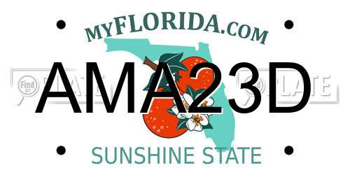 AMA23D Florida License Plate