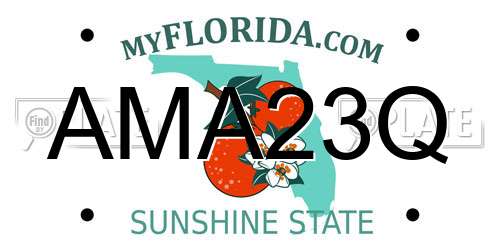 AMA23Q Florida License Plate