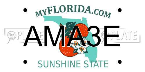 AMA3E Florida License Plate