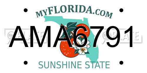 AMA6791 Florida License Plate