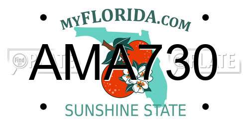 AMA730 Florida License Plate