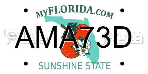 AMA73D Florida License Plate