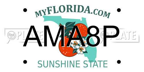 AMA8P Florida License Plate