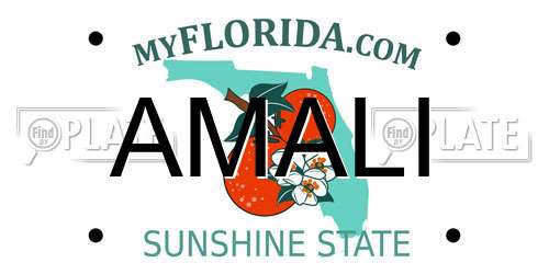 AMALI Florida License Plate