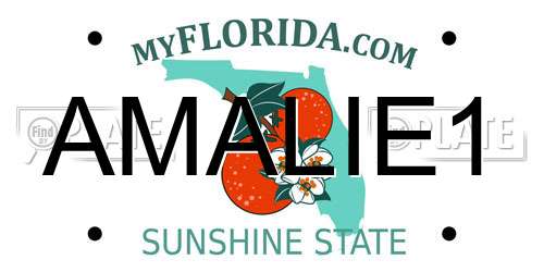 AMALIE1 Florida License Plate
